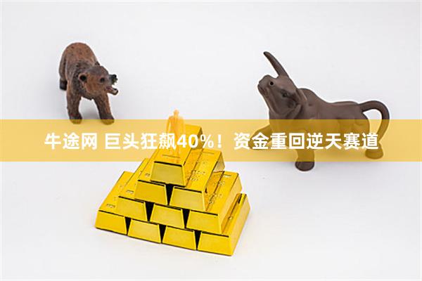 牛途网 巨头狂飙40%！资金重回逆天赛道