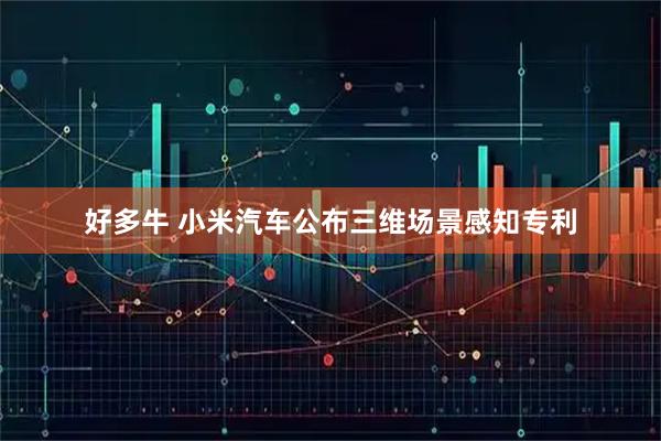 好多牛 小米汽车公布三维场景感知专利