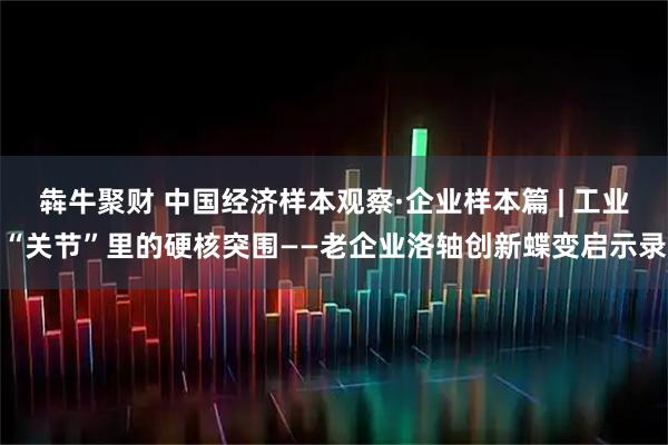 犇牛聚财 中国经济样本观察·企业样本篇 | 工业“关节”里的硬核突围——老企业洛轴创新蝶变启示录