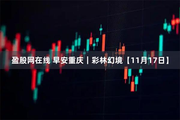 盈股网在线 早安重庆｜彩林幻境【11月17日】