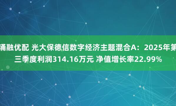 涌融优配 光大保德信数字经济主题混合A：2025年第三季度利润314.16万元 净值增长率22.99%