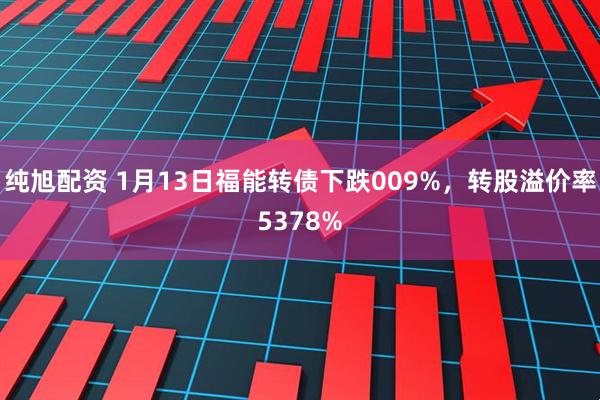 纯旭配资 1月13日福能转债下跌009%，转股溢价率5378%